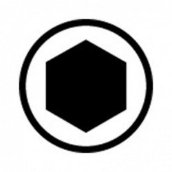 TOURNEVIS EN T A LAME HEXAGONALE 454
