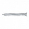 VIS AUTO TARAUDEUSES WHO TF TORX 30 (BOITE DE 100)