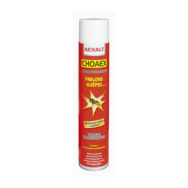 INSECTICIDE ANTI-FRELONS CHOAEX 1000ML